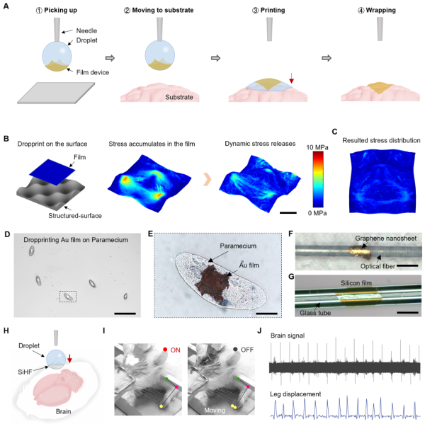 炒股配资最新 一滴水“贴膜”？我国科学家开发“液滴打印”新技术